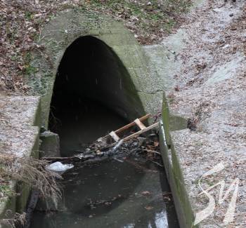 ��  �������� ���� �� ����������